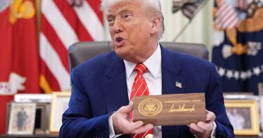 Trump ally proposes shocking Elon Musk-backed move to keep Congress accountable for inflation