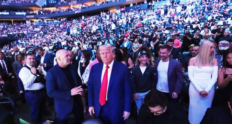 Trump attends UFC championship fight in New Jersey, taking a break from Musk feud for cage fights