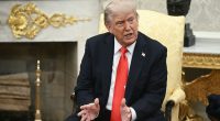 Trump compares Russia-Ukraine war to 'kids fighting in a park'