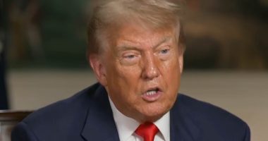 Trump gives telling update on his relationship with former 'First Buddy' Musk after billionaire reignited feud