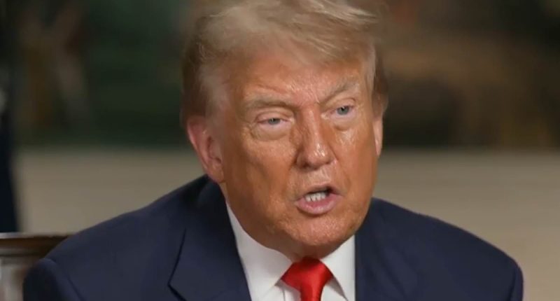 Trump gives telling update on his relationship with former 'First Buddy' Musk after billionaire reignited feud