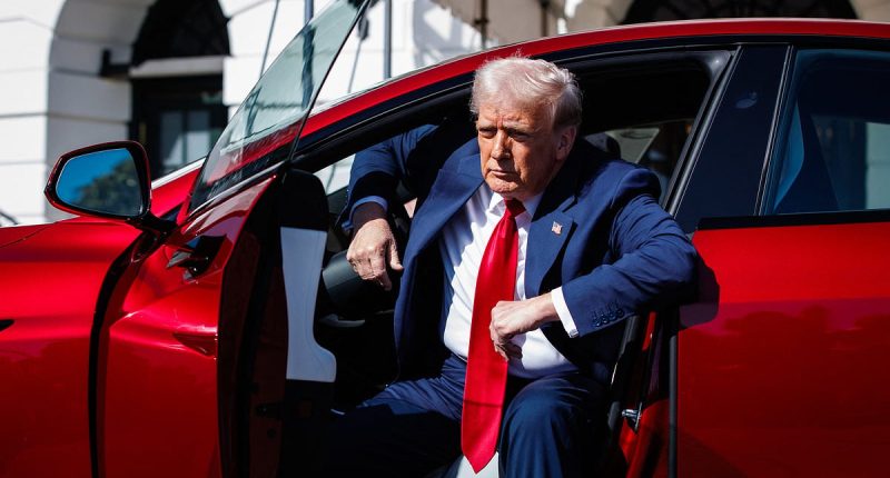 Trump plans to sell his brand new red Tesla to 'stick it' to Musk