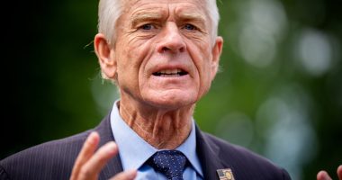Trump tariff guru Peter Navarro twists the knife into Elon Musk