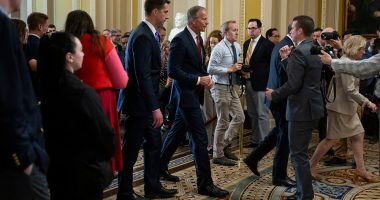 Trump's 'big, beautiful bill' losing momentum in Senate