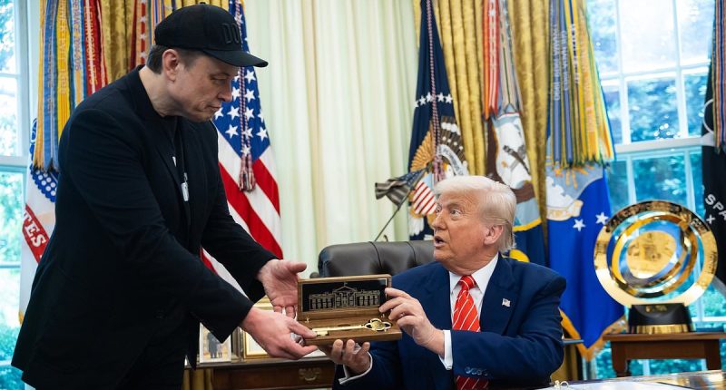 Trump's three-word reaction to Musk's reduced DOGE role