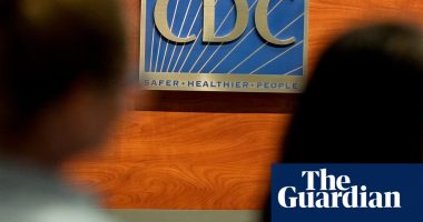 US pediatricians criticize RFK Jr’s new vaccine panel: ‘Truly an embarrassment’