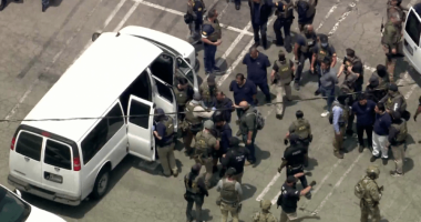 Union president among 44 arrested in Los Angeles ICE raids