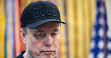 Voters suggest Elon Musk's presence cost Trump the election