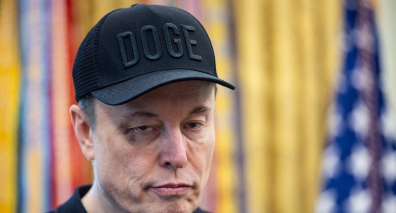 Voters suggest Elon Musk's presence cost Trump the election