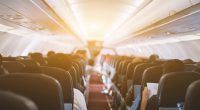 What happens to the body during a fatal plane crash