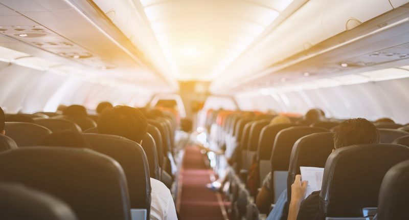 What happens to the body during a fatal plane crash