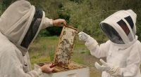 Megan Markle recently revealed on her Netflix show that beekeeping is one of her hobbies