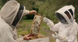 Megan Markle recently revealed on her Netflix show that beekeeping is one of her hobbies