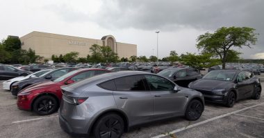 Why hundreds of Teslas are parked outside Dillard's in Missouri