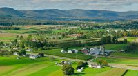 Why mysterious group of rural Americans are NINE TIMES less likely to suffer from country's biggest killers