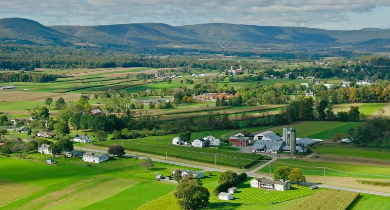 Why mysterious group of rural Americans are NINE TIMES less likely to suffer from country's biggest killers