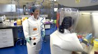 World Health Organization is STILL siding with China over Covid's origins as report rules out lab leak