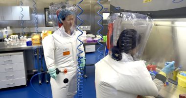 World Health Organization is STILL siding with China over Covid's origins as report rules out lab leak