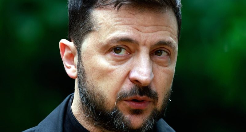 Zelensky blasts NATO members' 'slow' spending increase, warning Putin could attack within five years ahead of meeting with Trump at alliance summit