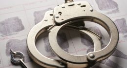 ‘Theft blitz’ arrests dozens as Florida tackles crime rings in the state