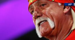 'He built WWE': Tampa pro wrestlers remember Hulk Hogan
