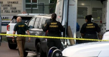 'I heard someone screaming': Teen found shot on Pinellas County road
