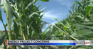 'It's going to be a huge impact on their lives'; Cleaner energy coming to Coles Co.