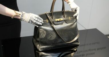 'Most famous handbag of all time' sells for $15 million