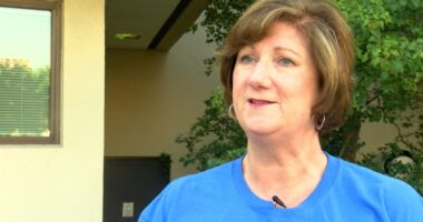 'One of the greatest joys of my life': Longtime President, CEO of United Way Champaign Co. to retire
