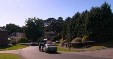 'Stupid and reckless': Killer struck elderly man then left him to die at roadside