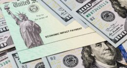 'Tariff rebates' proposed: How would they work?