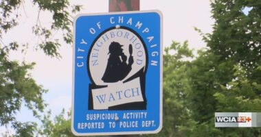 'We need parents to parent': Champaign community leaders say end to youth violence starts at home