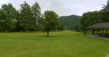 $10 million 'Catie's Playground' project coming to Bristol