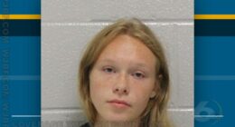 17-year-old Georgia girl arrested in parents double homicide