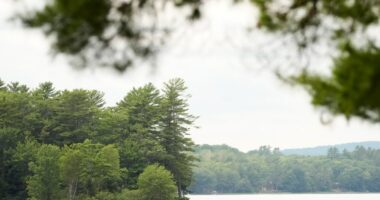 17-year-old charged with murder in paddleboarder's killing at a pond in rural Maine