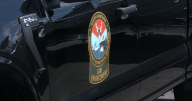 SCDNR completing boat inspections during the holiday weekend: What to know