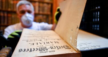 Hungary's oldest library is fighting to save 100,000 books from a beetle infestation