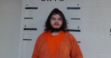 2 women and 5 men 'subjected kids to sexual torture in a bunker'