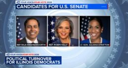 2026 midterm elections: What the next election cycle means for Illinois Democratic Party as several Congressional seats open up