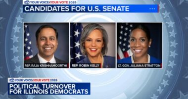 2026 midterm elections: What the next election cycle means for Illinois Democratic Party as several Congressional seats open up