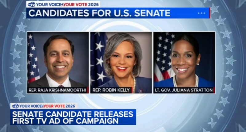 2026 midterms: US Senate candidate Raja Krishnamoorthi releases 1st TV ad of campaign ahead of Democratic primary election