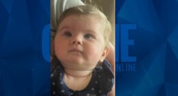 4 Bodies Found in West Tennessee May Be Connected to Infant Abandoned in Stranger’s Yard