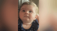 4 bodies found in TN identified amid abandoned baby investigation