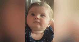 4 bodies found in TN identified amid abandoned baby investigation