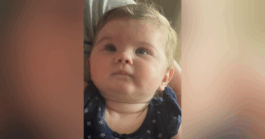 4 bodies found in TN identified amid abandoned baby investigation