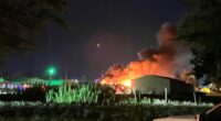 6 horses, 1 dog die in horse barn fire at Coles Co. Fairgrounds
