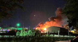 6 horses, 1 dog die in horse barn fire at Coles Co. Fairgrounds
