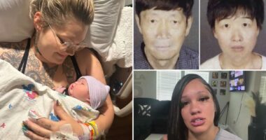 6 women now claim they carried babies for Cali surrogacy couple caught with 21 tots