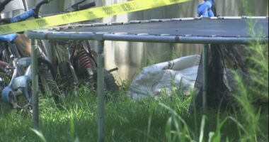 6-year-old Hampton County boy in hospital after being shot, County sheriff stressing gun safety