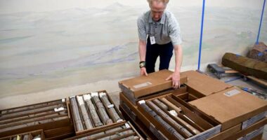 A Denver dino museum makes a find deep under own parking lot. Like 'a hole in one from the moon.'